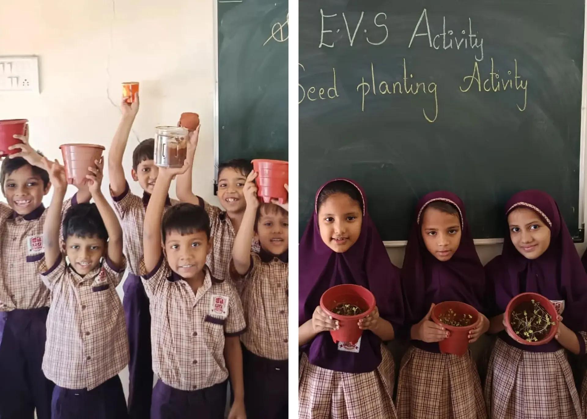 🌱 Seed Planting Activity